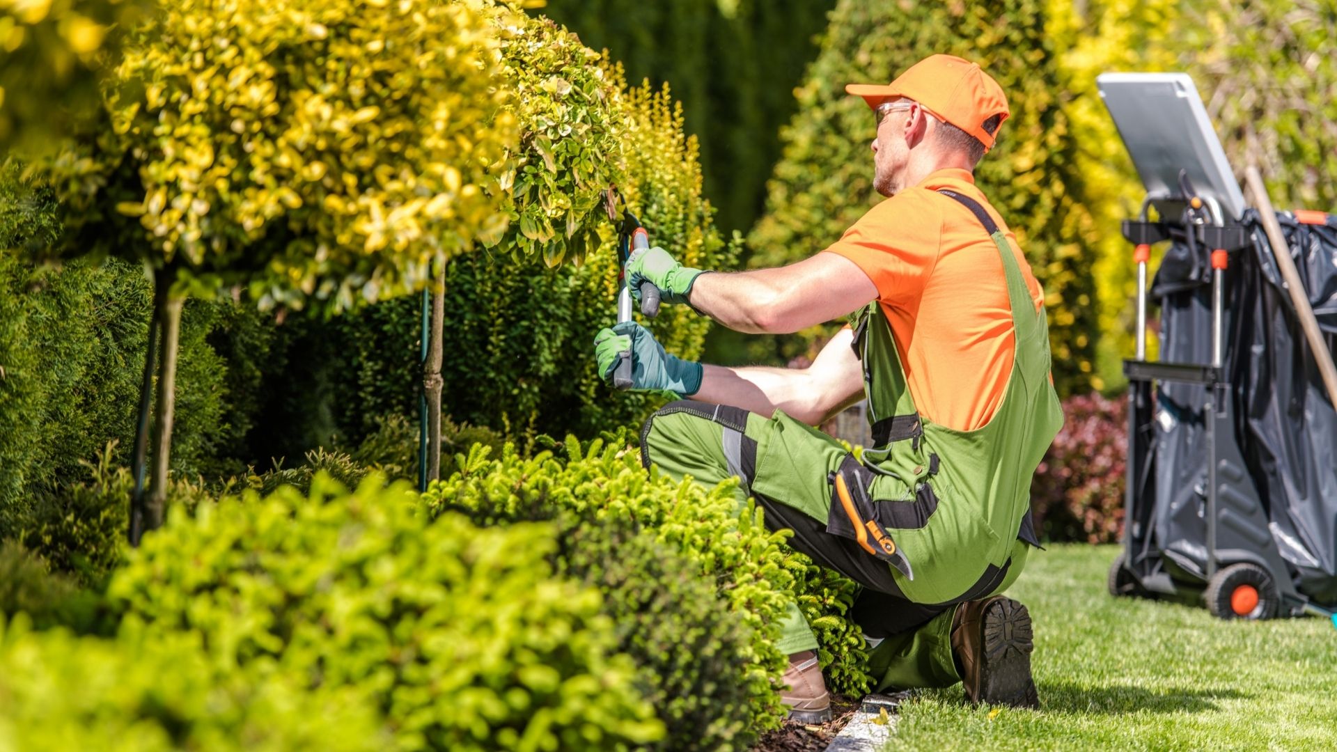 Entretien de jardin au Luxembourg : notre entreprise paysagiste prend soin de vos espaces verts !